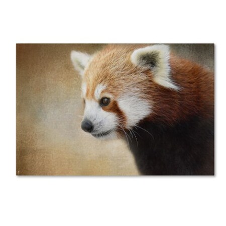 Trademark Fine Art Jai Johnson 'Red Panda Watching' Canvas Art, 30x47 ALI13937-C3047GG